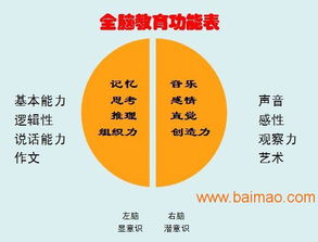 山东临沂与临沭全脑开发服务 可靠提供商、厂家与价格咨询指南