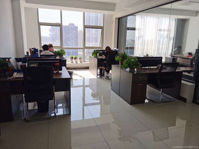 山东泰诚信息咨询服务 专业信息咨询的领航者